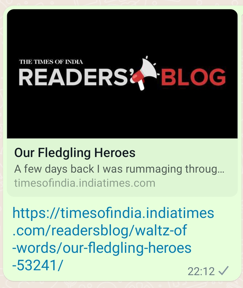 Our Fledgling Heroes – The Times of India