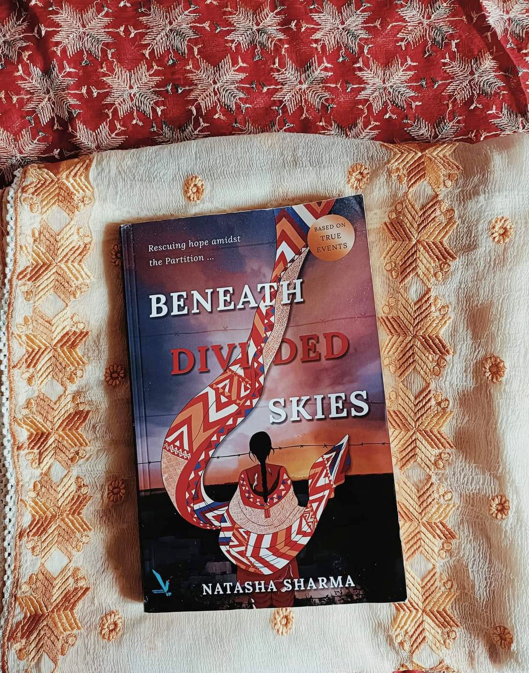 Beneath Divided Skies – A Riveting Read